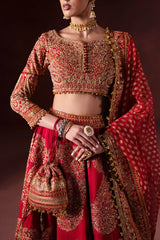 BARAAT DAY - MSS5896