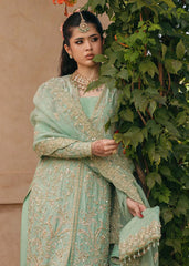 kaneez